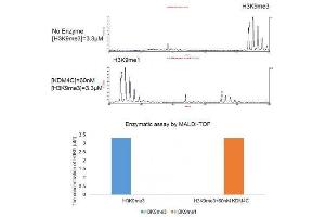 Activity Assay (AcA) image for Lysine (K)-Specific Demethylase 4C (KDM4C) protein (DYKDDDDK Tag) (ABIN2669706)