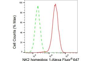 Flow cytometric analysis of NK2 homeobox 1 expression in HAP-1 cells using NK2 homeobox 1 antibody (ABIN7799608), 1:2,000). (Recombinant NKX2-1 antibody)