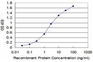 Detection limit for recombinant GST tagged BOLL is approximately 0. (BOLL antibody  (AA 185-283))