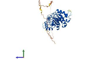 AlphaFold protein structure predicition of Human Recombinant MACROD1 Protein, UniprotID Q9BQ69 (MACROD1 Protein (AA 1-325) (His tag))