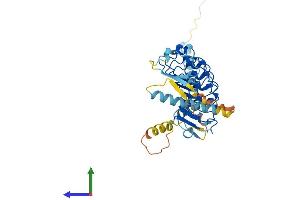 AlphaFold protein structure predicition of Mouse Recombinant Lrrc2 Protein, UniprotID Q8VDB8