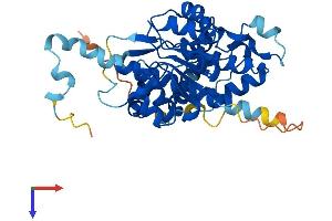 NOXRED1 Protein (AA 1-359) (His tag)
