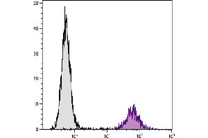 DBA/2 mouse mastocytoma cell line P815 and mB7. (CD86 antibody  (FITC))