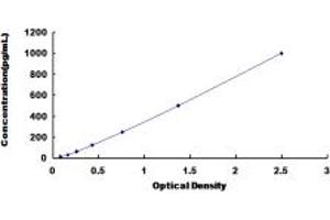 Typical standard curve (CCL22 ELISA Kit)