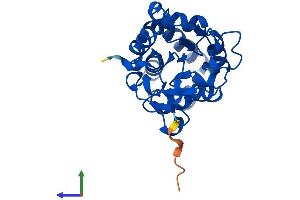 AlphaFold protein structure predicition of Mouse Recombinant Pudp Protein, UniprotID Q9D5U5 (HDHD1 Protein (AA 1-234) (His tag))