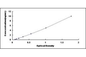 Typical standard curve (OCT4 ELISA Kit)