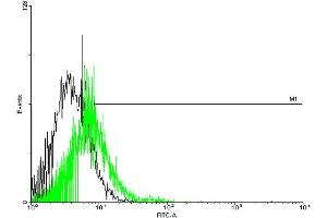 FACS analysis of negative control 293 cells (Black) and GPR151 expressing 293 cells (Green) using GPR151 purified MaxPab mouse polyclonal antibody. (GPR151 antibody  (AA 1-419))