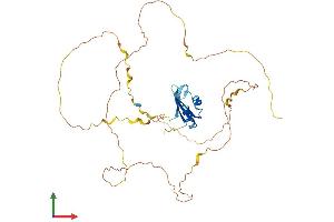 Protein Structure (PS) image for RNA Binding Motif Protein, X-Linked-Like 1 (RBMXL1) (AA 1-388) protein (His tag) (ABIN7559995)