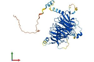 Protein Structure (PS) image for DDB1 and CUL4 Associated Factor 12 (DCAF12) (AA 1-453) protein (His tag) (ABIN7558598)