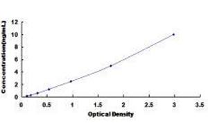 Chemokine (C-C Motif) Receptor 7 (CCR7) ELISA Kit