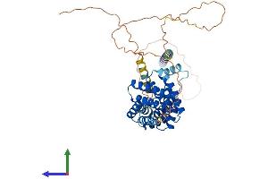 Protein Structure (PS) image for Family with Sequence Similarity 82, Member A2 (FAM82A2) (AA 1-470) protein (His tag) (ABIN7557211)