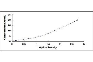 Typical standard curve (ACTN1 ELISA Kit)