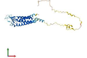 AlphaFold protein structure predicition of Human Recombinant CLDN23 Protein, UniprotID Q96B33 (Claudin 23 Protein (CLDN23) (AA 1-292) (His tag))