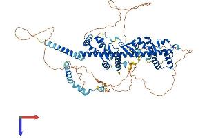 Gametogenetin Binding Protein 2 (GGNBP2) (AA 1-696) protein (His tag)