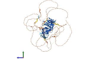 AlphaFold protein structure predicition of Mouse Recombinant Ptpn22 Protein, UniprotID P29352 (PTPN22 Protein (AA 1-802) (His tag))