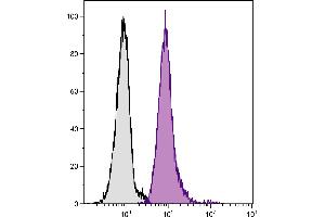 Human peripheral blood granulocytes were stained with Mouse Anti-Human CD33-PE/CY5. (CD33 antibody)