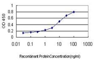 Detection limit for recombinant GST tagged DAAM1 is approximately 0. (DAAM1 antibody  (AA 1-110))