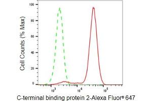 Flow cytometric analysis of C-terminal binding protein 2 expression in HeLa cells using C-terminal binding protein 2 antibody (ABIN7797816), 1:2,000). (Recombinant CTBP2 antibody)