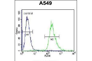 Flow cytometric analysis of A549 cells (right histogram) compared to a negative control cell (left histogram). (PRR19 antibody  (AA 208-236))