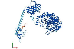 AlphaFold protein structure predicition of Mouse Recombinant Nars1 Protein, UniprotID Q8BP47 (NARS Protein (AA 1-559) (His tag))