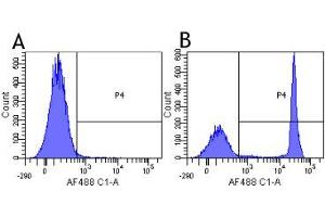 Flow-cytometry using the anti-CD4 research biosimilar antibody Clenoliximab (CE9. (Recombinant CD4 (Clenoliximab Biosimilar) antibody)