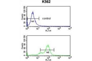 Flow Cytometry (FACS) image for anti-Small Nuclear Ribonucleoprotein Polypeptide C (SNRPC) antibody (ABIN3001664) (SNRPC antibody)
