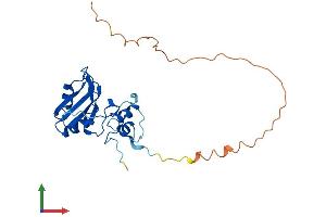 AlphaFold protein structure predicition of Human Recombinant SNRNP35 Protein, UniprotID Q16560 (SNRNP35 Protein (AA 1-246) (His tag))