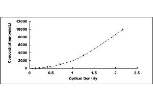 Typical standard curve (P4HA1 ELISA Kit)