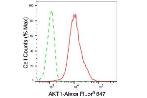 Flow cytometric analysis of AKT1 expression in C2C12 cells using AKT1 antibody (ABIN7800777), 1:2,000). (AKT1 antibody)
