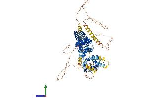 AlphaFold protein structure predicition of Mouse Recombinant Kcna4 Protein, UniprotID Q61423 (Kv1.4 Protein (AA 1-654) (His tag))