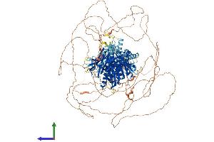 AlphaFold protein structure predicition of Human Recombinant FAM135B Protein, UniprotID Q49AJ0 (FAM135B Protein (AA 1-1406) (His tag))