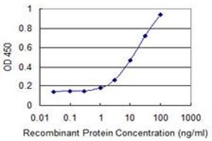 Detection limit for recombinant GST tagged CAV3 is 0. (Caveolin 3 antibody  (AA 1-83))