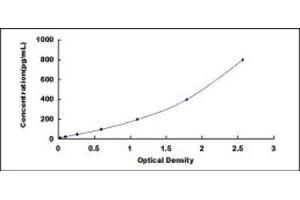 Typical standard curve (CD90 ELISA Kit)