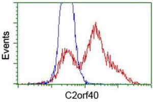 HEK293T cells transfected with either RC206239 overexpress plasmid (Red) or empty vector control plasmid (Blue) were immunostained by anti-C2orf40 antibody (ABIN2454455), and then analyzed by flow cytometry. (C2orf40 antibody)