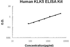 Human KLK5 PicoKine ELISA Kit standard curve (Kallikrein 5 ELISA Kit)