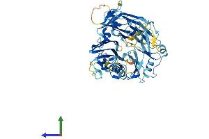 Protein Structure (PS) image for Integrin alpha FG-GAP Repeat Containing 3 (ITFG3) (AA 1-552) protein (His tag) (ABIN7547416)