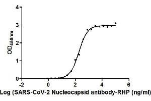 Activity: Measured by its binding ability in a functional ELISA. (Recombinant SARS-CoV-2 Nucleocapsid antibody  (AA 1-419) (HRP))