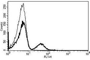 A typical staining pattern with the B-C3 monoclonal antibody of lymphocytes (CD19 antibody)