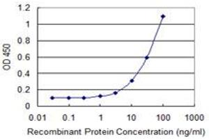 Detection limit for recombinant GST tagged ACOT8 is 1 ng/ml as a capture antibody. (ACOT8 antibody  (AA 108-215))