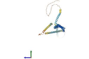 AlphaFold protein structure predicition of Human Recombinant CCDC51 Protein, UniprotID Q96ER9 (CCDC51 Protein (AA 1-411) (His tag))