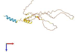 AlphaFold protein structure predicition of Human Recombinant INS-IGF2 Protein, UniprotID F8WCM5 (INS-IGF2 Protein (AA 1-200) (His tag))