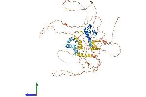 AlphaFold protein structure predicition of Human Recombinant POU6F2 Protein, UniprotID P78424 (POU6F2 Protein (AA 1-691) (His tag))