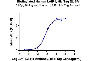 Immobilized Biotinylated Human LAIR1, His Tag at 0. (LAIR1 Protein (AA 22-163) (His-Avi Tag,Biotin))