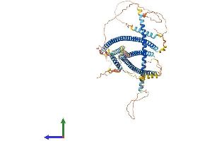 AlphaFold protein structure predicition of Human Recombinant USHBP1 Protein, UniprotID Q8N6Y0 (USHBP1 Protein (AA 1-703) (His tag))