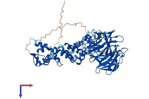 AlphaFold protein structure predicition of Mouse Recombinant Klhl10 Protein, UniprotID Q9D5V2 (KLHL10 Protein (AA 1-608) (His tag))