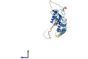 Protein Structure (PS) image for Ubiquitin-Conjugating Enzyme E2Z (UBE2Z) (AA 1-354) protein (His tag) (ABIN7544987)
