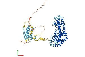 Protein Structure (PS) image for T Cell Activation Inhibitor, Mitochondrial (TCAIM) (AA 1-496) protein (His tag) (ABIN7544243)
