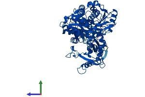 AlphaFold protein structure predicition of Mouse Recombinant Pgm2l1 Protein, UniprotID Q8CAA7 (PGM2L1 Protein (AA 1-621) (His tag))