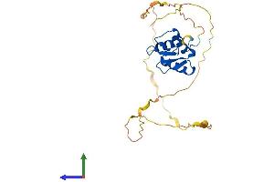 AlphaFold protein structure predicition of Human Recombinant SPIB Protein, UniprotID Q01892 (SPIB Protein (AA 1-262) (His tag))