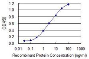 Detection limit for recombinant GST tagged ATP6V1A is 0. (ATP6V1A antibody  (AA 508-617))